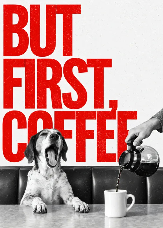 But first coffee ve köpek