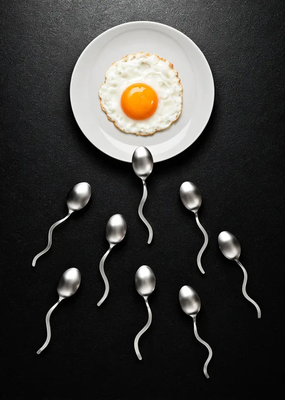 Yumurta ve sperm biçimli kaşıklar